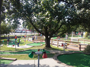 tree covered mini golf